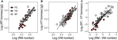 Plasticity in Meristem Allocation as an Adaptive Strategy of a Desert Shrub under Contrasting Environments